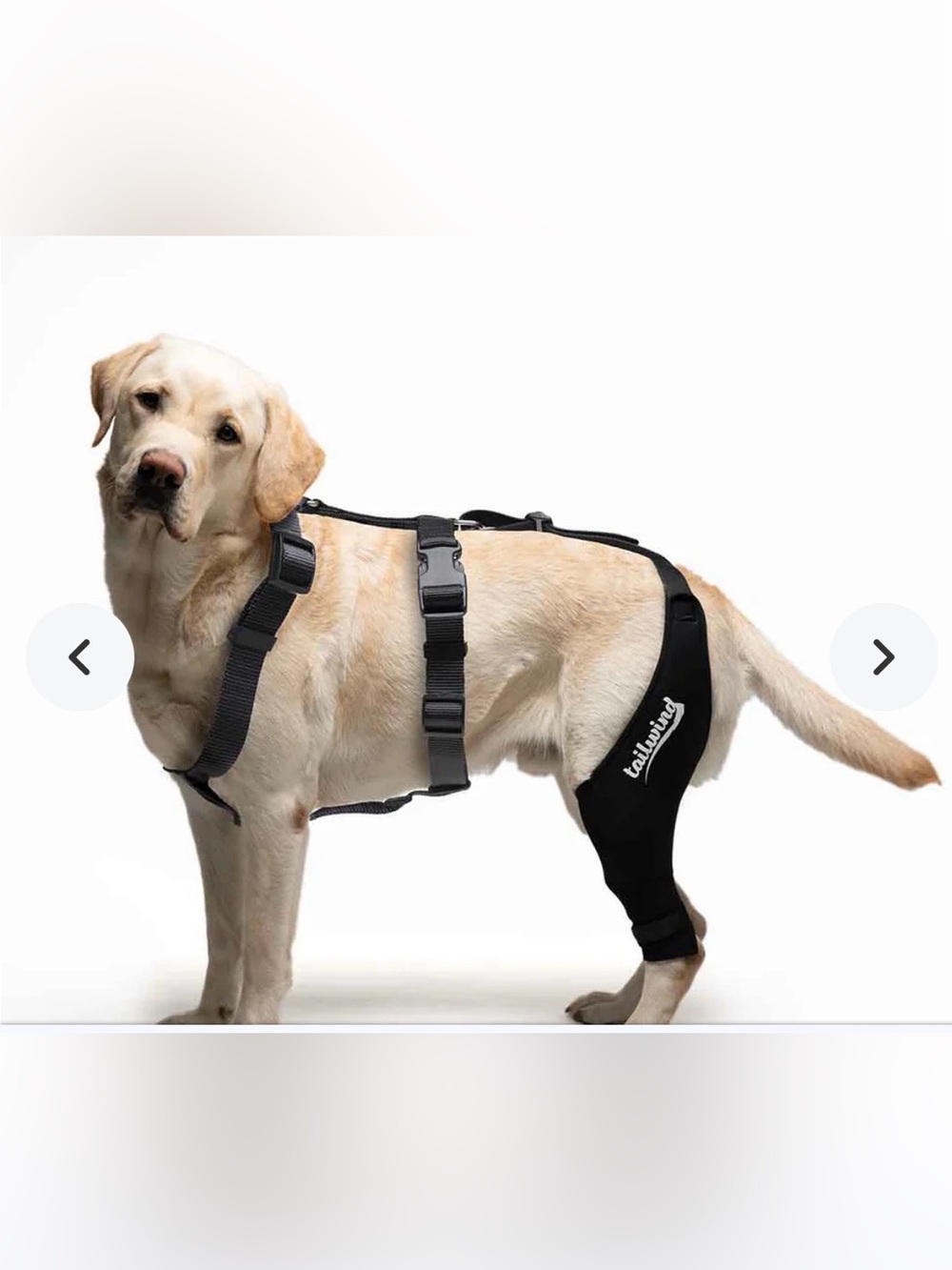 Tailwind Black Knee Brace for Dogs - Cruciate Support with Orthopedic Harness